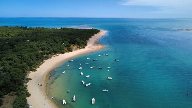 Vista aérea de una zona costera con playa de arena, abundante vegetación y numerosos barcos anclados en el agua.
