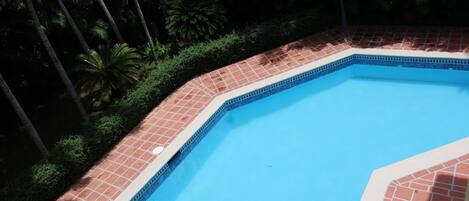 Una piscina con borde de azulejos, rodeada de exuberante vegetación y altas palmeras.