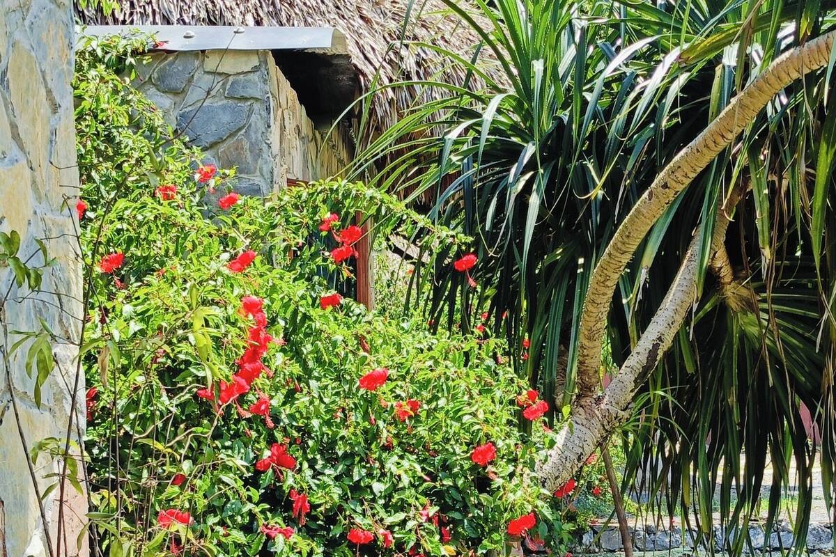 A patio with a wicker chair, a stone table, and a thatched-roof structure.