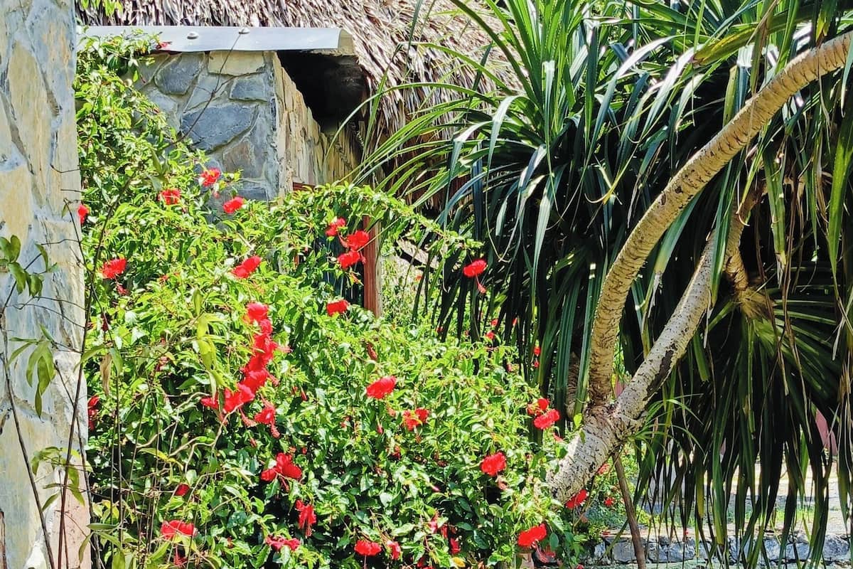 Bungalow, Lake View | Terrace/patio