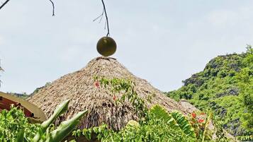 Una construcción con techo de paja rodeada de exuberante vegetación.