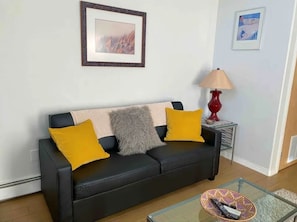 TV connectée, cheminée, livres