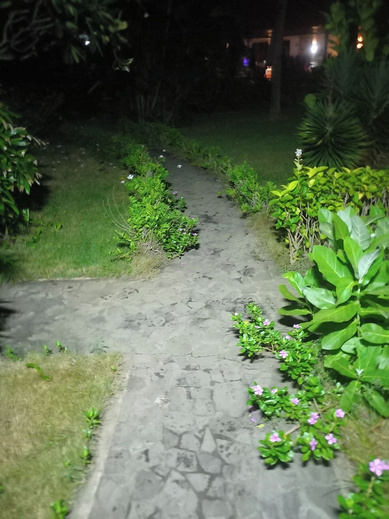 Parkir difabel
