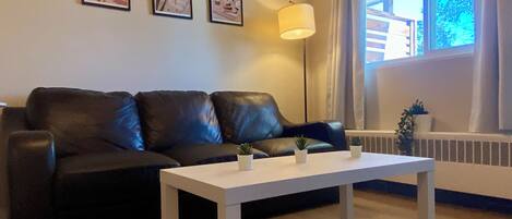 Älytelevisio, takka