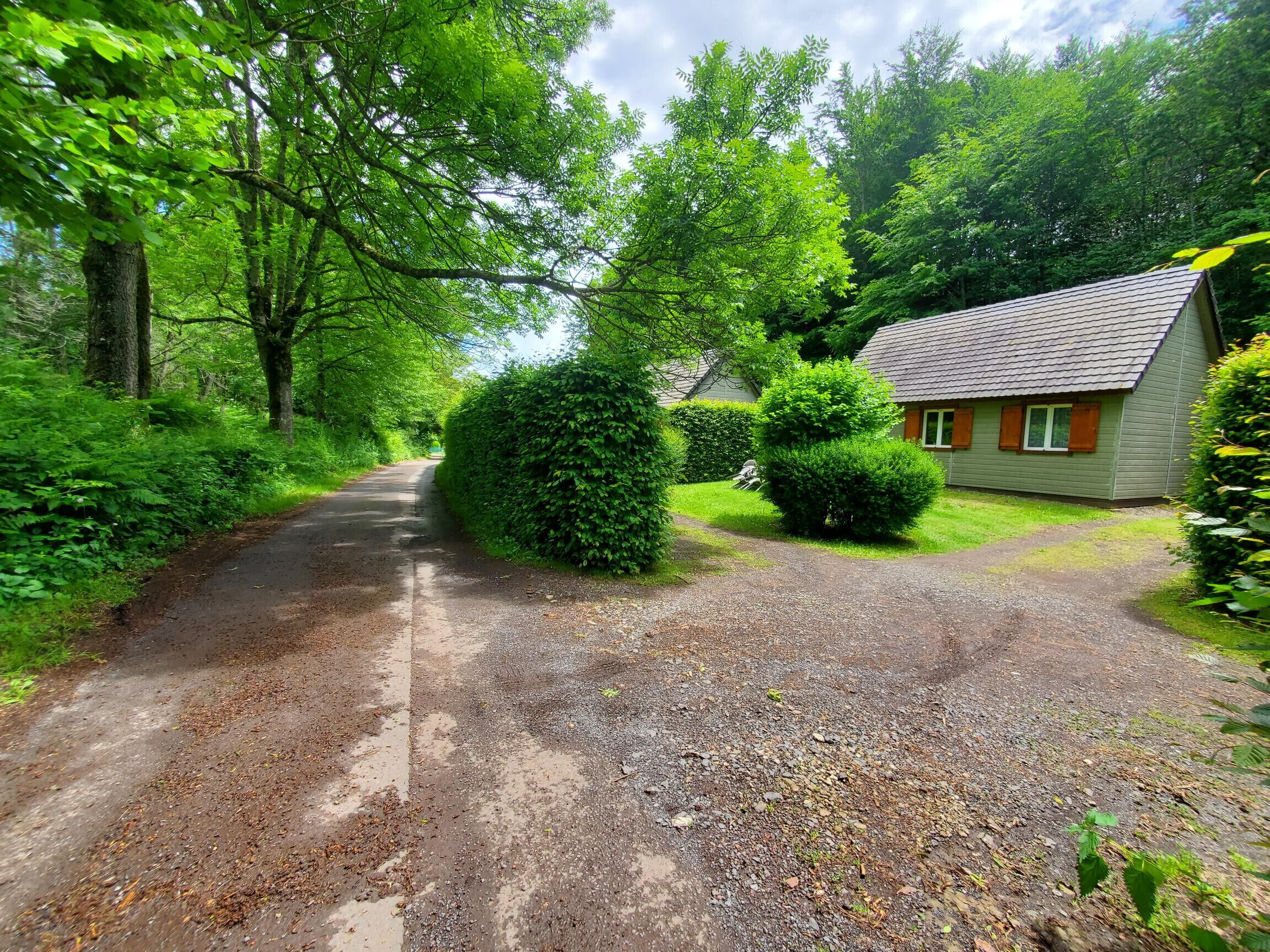 A gravel driveway leading to a house surrounded by lush greenery and trees.