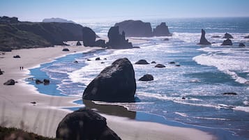 Serviettes de plage