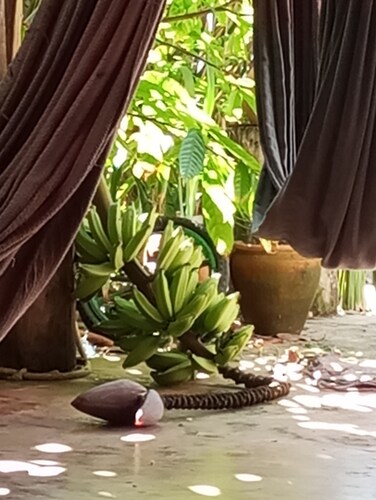 Simples Casa Muito Grande Acomoda 8 Pessoas .A 50 Metros do Rio .perto de Todo