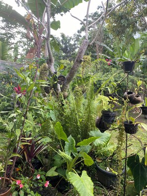 View from property - Bali Asli Guest House by EPS (Ubud)