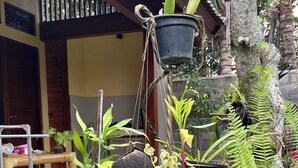 Variedad de plantas en macetas dispuestas en un jardín, con una estructura de madera al fondo.