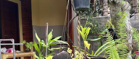 Habitación estándar | Vistas al jardín