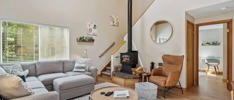 Smart TV, fireplace, books