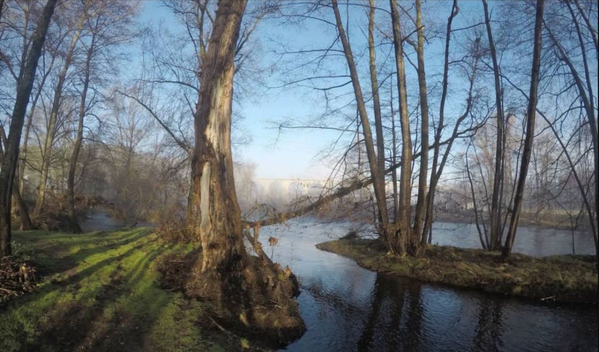 Rauhallinen maisema joen varrella, jossa on puita ja tyyni vesialue.