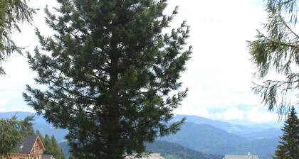 Apartment 'Wohnung 2' with Mountain View, Shared Terrace and Shared Garden