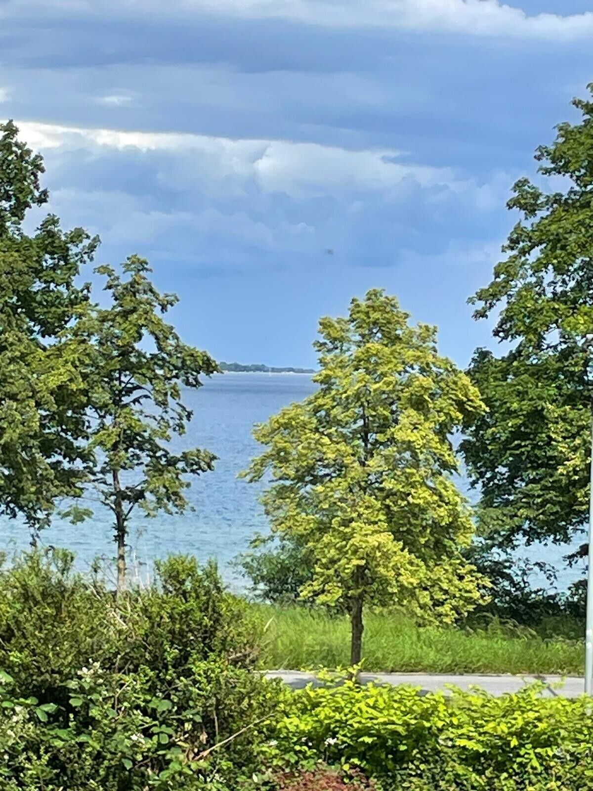 Vista de un lago con árboles al frente y un cielo nublado.