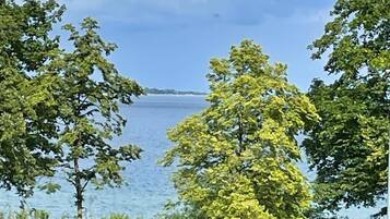 Vista de un lago con árboles al frente y un cielo nublado.