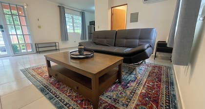 Where Bad Bunny is from - Cozy Mountain Valley Villa Vega Baja with AC, WiFi