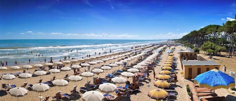 Strand