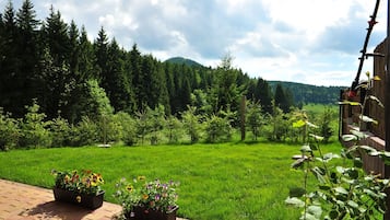 Classic Condo, 1 Bedroom | Terrace/patio