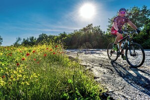 Un ciclista en un camino de grava, con flores silvestres y árboles al fondo.