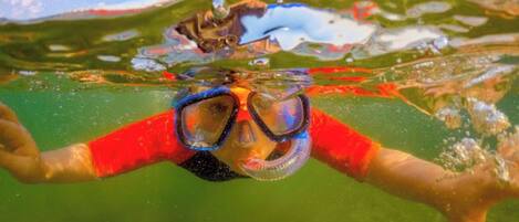 A person swimming underwater with goggles.