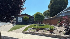 A residential backyard with a paved driveway, a lawn, and a garden area with potted plants and a tree. - Beautiful Normal Heights Living (San Diego)