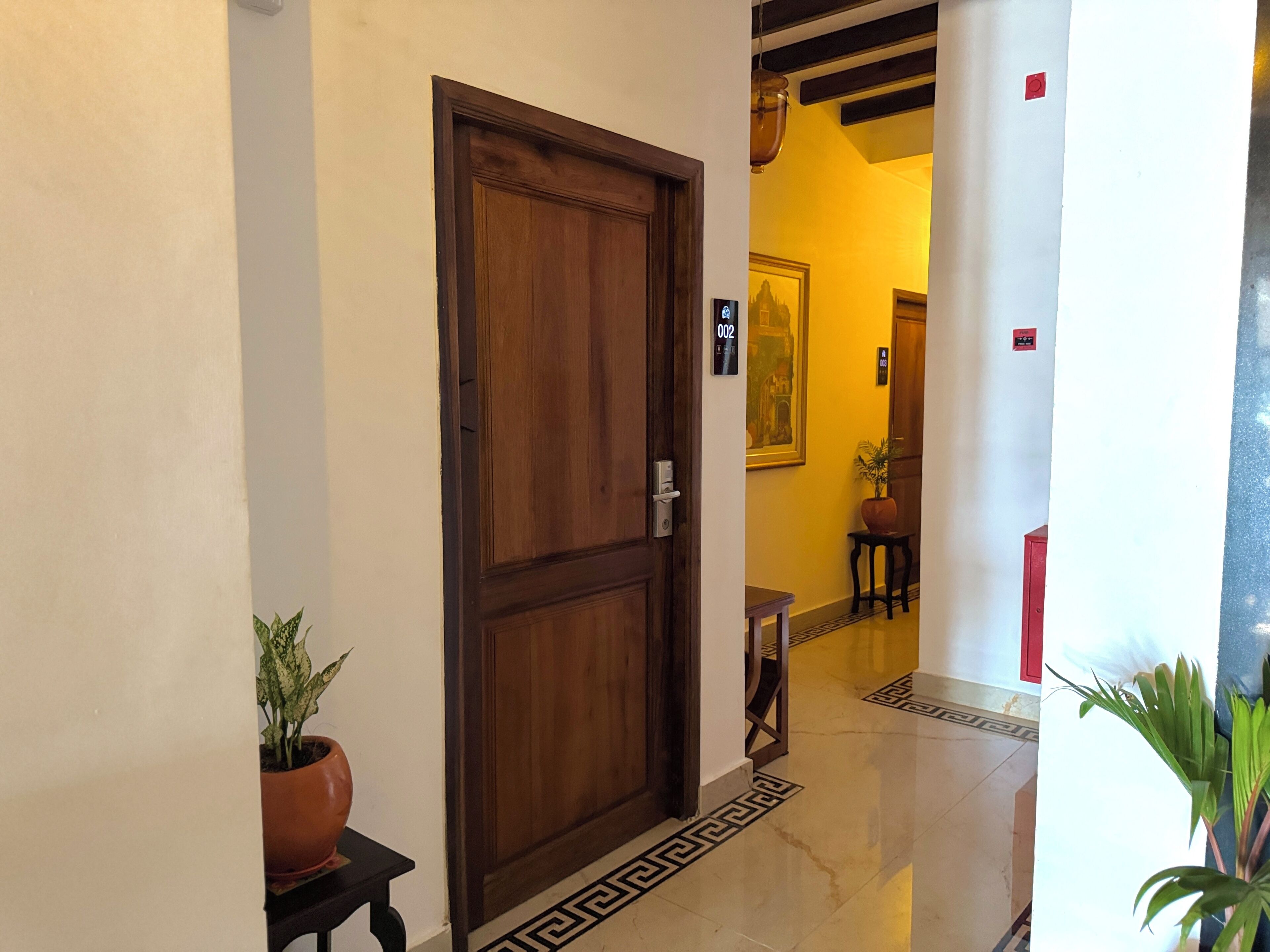 A hallway with a wooden door, a potted plant, and a tiled floor.