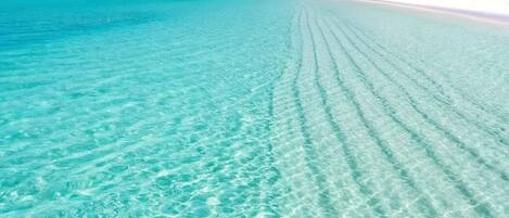 On the beach, sun-loungers