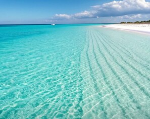 Plage, chaises longues