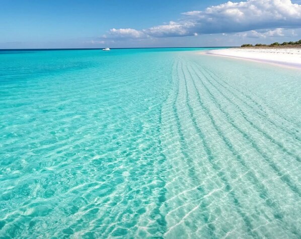 On the beach, sun-loungers - Ratiu Beach House White Sand luxury cottage 3 min to private beach 4brooms3bath  (Destin)