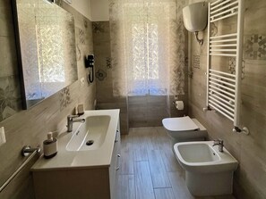 Shower, hair dryer, bidet, towels