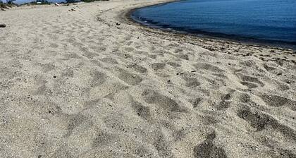 Casa acogedora frente a la playa en Torreilles