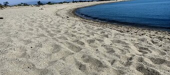 Haus direkt am Strand in Torreilles – ideal für Paare und Familien, Haustiere erlaubt!