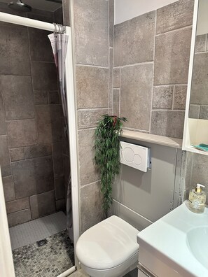 Secadora de cabello, toallas, jabón, papel de baño 