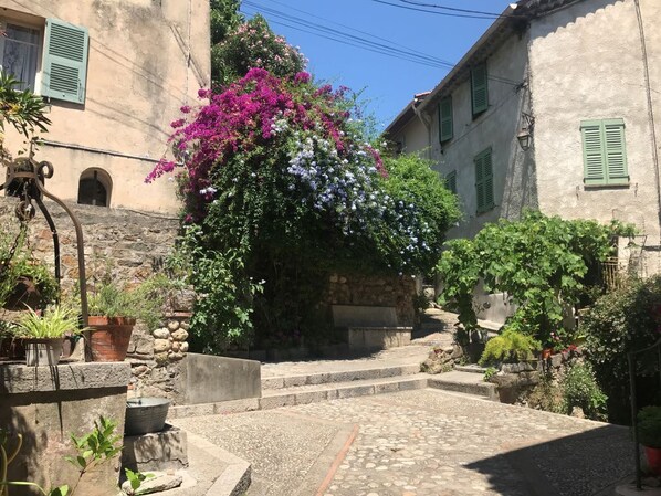 Un patio con escalones de piedra que conducen a una puerta, rodeado de edificios con contraventanas verdes y plantas con flores.
