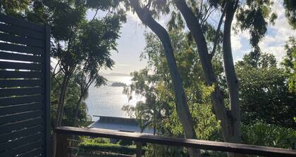 Sunset Waters 17 comes with a Buggy