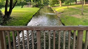 Un pont en bois enjambe un étroit canal dans un parc bordé d’arbres des deux côtés.