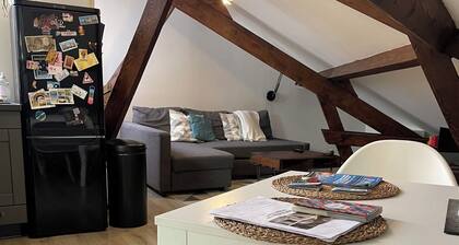 Havre de paix / 10 minutes Paris-Orly