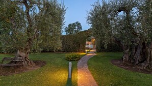 A pathway leading to a building with a sign, surrounded by olive trees and a hedge.