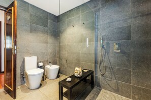 Shower, hair dryer, bidet, towels