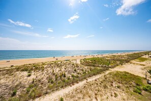 Ein Strand mit klarem Himmel, sandigem Ufer und Dünen.