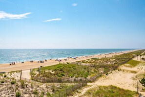 A beach with a sandy shore, a wooden fence, and sparse vegetation.