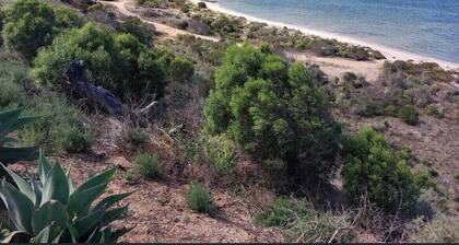21-Positioned at the start of Black Point! Excellent sea views! Dog friendly!