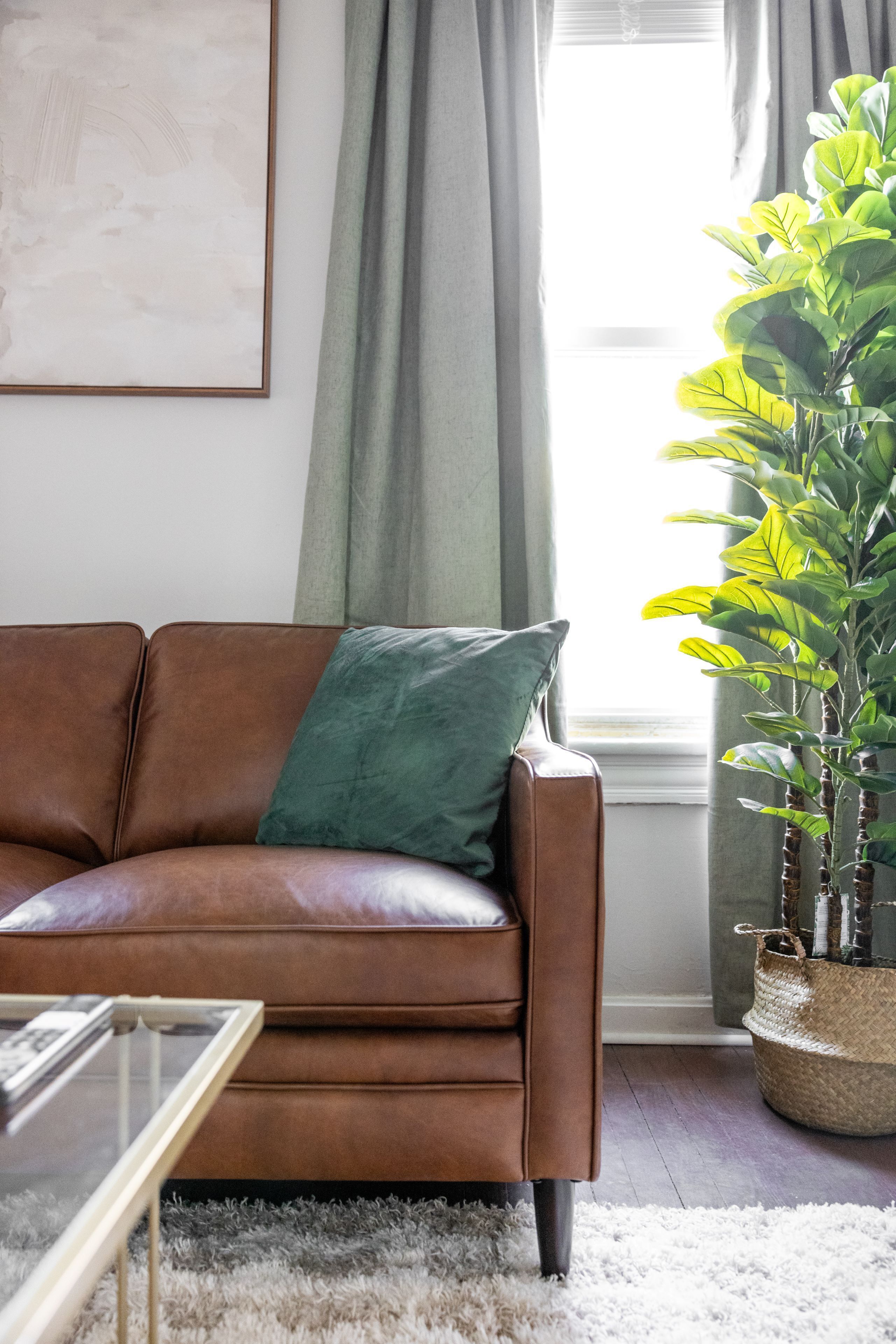 A brown leather sofa with a green pillow, a glass coffee table, and a large green plant in a woven basket.