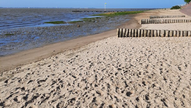 A sandy beach with wooden barriers and a clear blue sky. - Ankerplatz in Idyllischer Umgebung und Nähe zum Bernsteinsee (Wiefelstede)