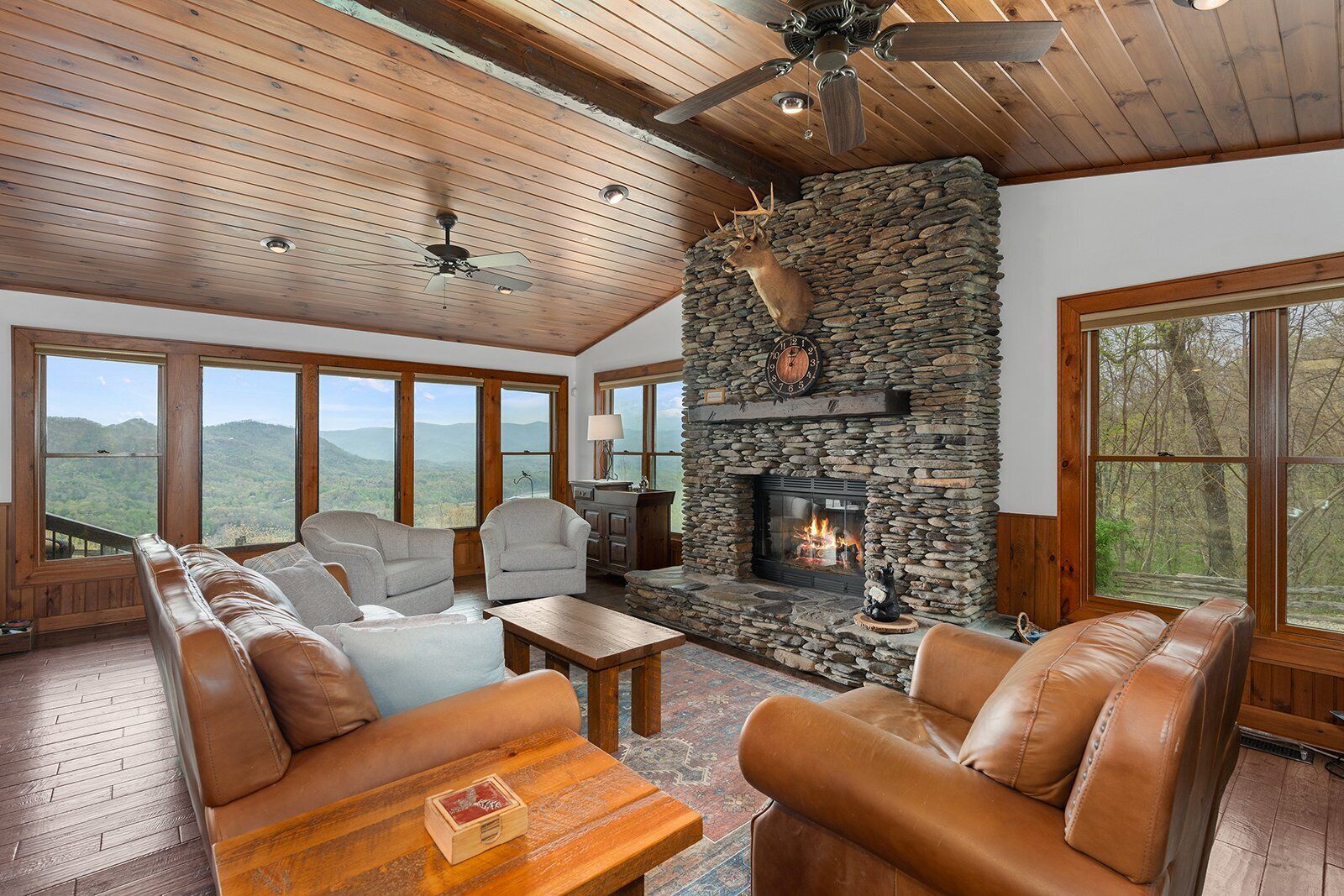 Televisión y chimenea 