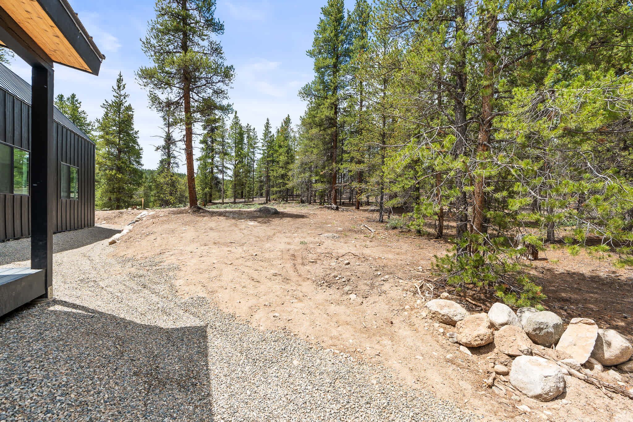 A modern building with a gravel driveway and surrounding pine trees.