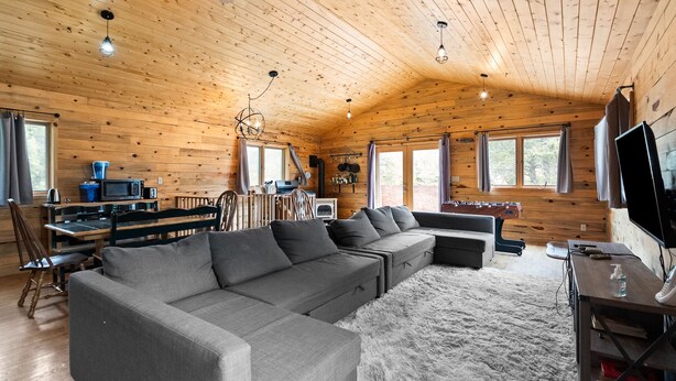 TV, fireplace, video games - Hwy 91 Log Cabin — 2BR/2BA, Fireplace, Mtn Views, Sleeps 4 (Leadville)