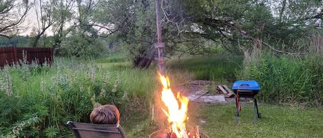 Área da propriedade