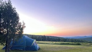 A blue tent in a grassy field with a tree to the left and a forested hill in the background. - Peaceful camp with breathtaking views (Westmore)