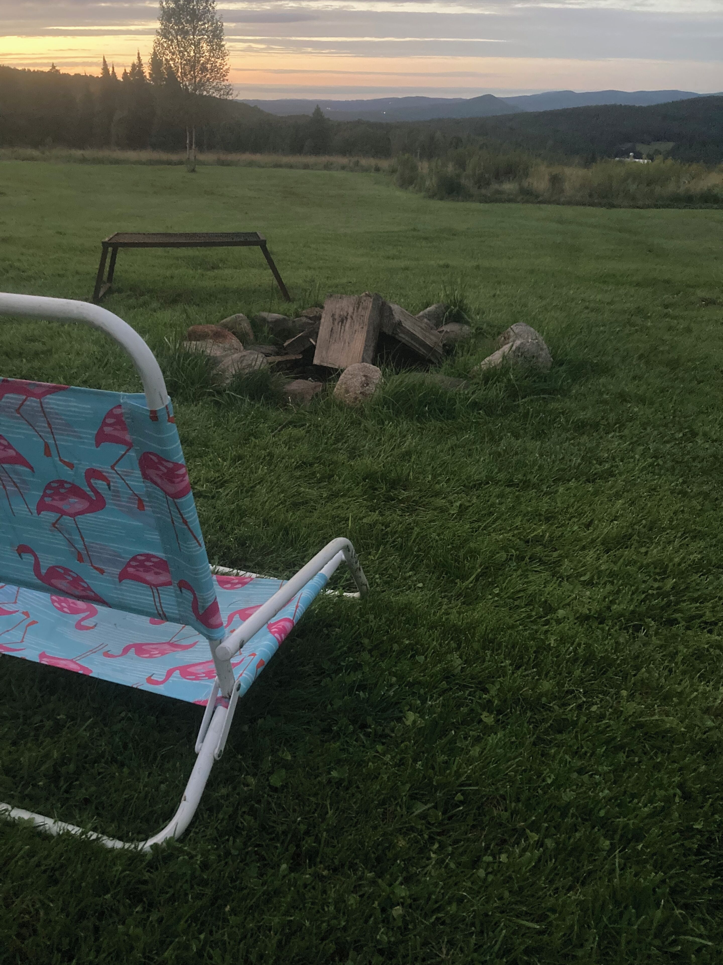 Ein grasbewachsenes Feld mit einer Feuerstelle und einem Flamingo-Sessel.